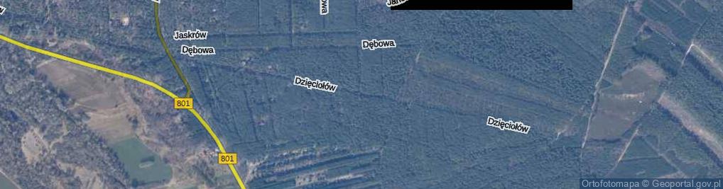 Zdjęcie satelitarne Dzięciołów ul.